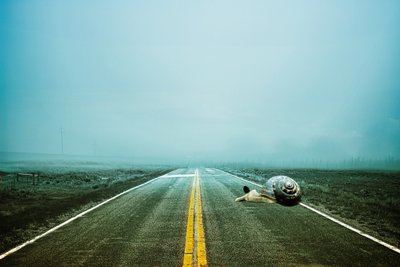 2020 langt tilbage, 2020 (digital fotokunst) af Johan Lilja