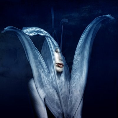 Smukke monstre 3, 2018 (digital fotokunst) af Johan Lilja