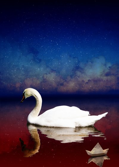 Bird Kingdom 4, 2018 (digital fotokunst) af Johan Lilja