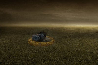 Slut på et mål, 2013 (fotografi) af Johan Lilja