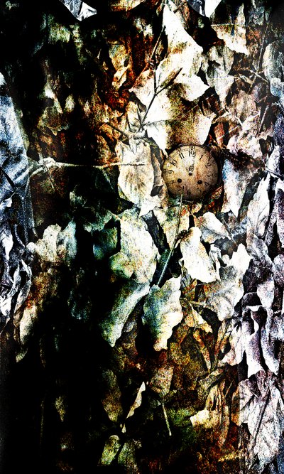 Heart, 2012 (fotomanipulation) af Johan Lilja