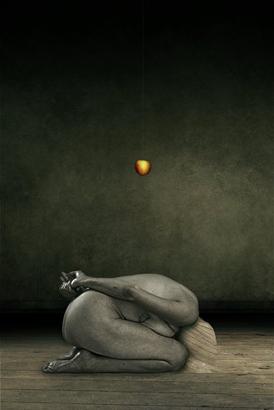 Skjul mig selv, 2013 (fotomanipulation) af Johan Lilja