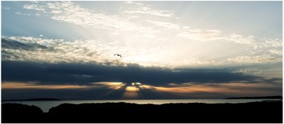 Seaside, 2018 (fotografi) af Johan Lilja