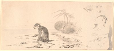 Abekatten. T.h. studier af abe hoveder m.m. af Johan Thomas Lundbye