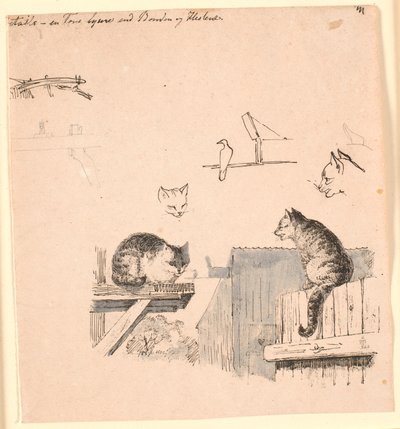 De to katte. F.o. studier af kattehoveder, en fugl, et katteøre og bjælke-værk. Illustration til Kaalunds "Fabler for Børn". Se kommentar fra arkkatalog. af Johan Thomas Lundbye
