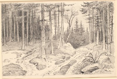 Hulvej gennem en granskov af Johan Thomas Lundbye