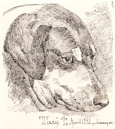 Hundehoved, Terry af Johan Thomas Lundbye