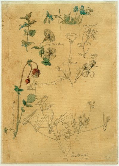 J. Th. Lundbye, Plantestudiet af Johan Thomas Lundbye