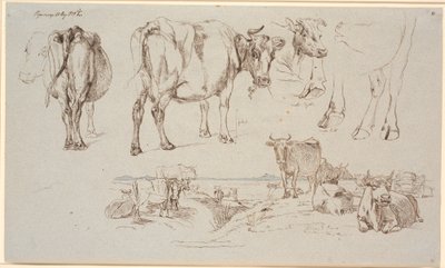 Studieblad fra Vognserup. Foroven studier af køer, f.n. land-skab med stående og liggende køer af Johan Thomas Lundbye