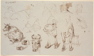 Studieblad fra Vognserup. Foroven studier af køer, i midten 4 studier af malkepiger set fra ryggen af Johan Thomas Lundbye