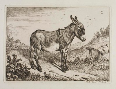 Æsel af Johann Adam Klein