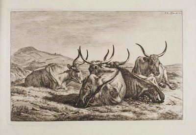 Liggende okser af Johann Adam Klein