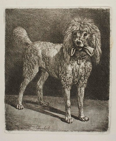  af Johann Adam Klein