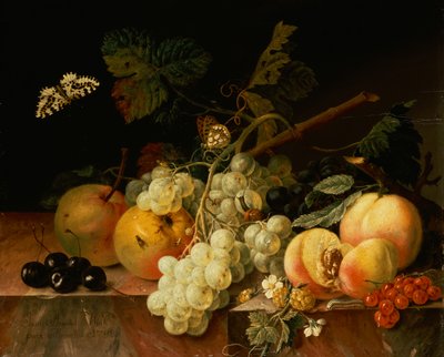 Frugt på en marmorkant med sommerfugle, snegl og larve (olie på lærred) af Johann Amandus Wink