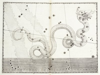 Konstellation af slangehoved og slangehale, c.1603 af Johann Bayer