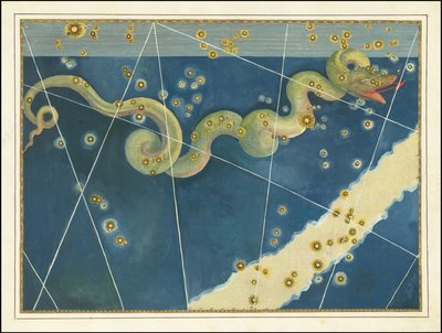 Hydra - Johann Bayer af Johann Bayer