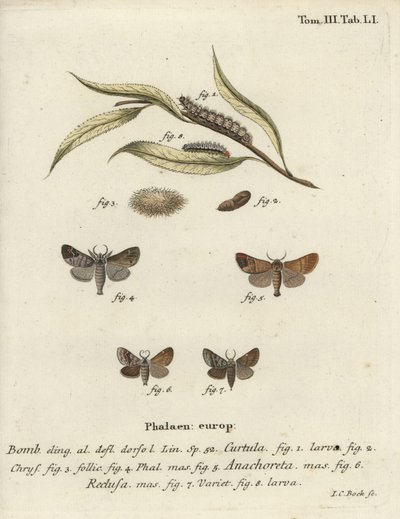 Chokolade-tip møl. af Johann Carl Bock