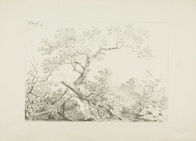 Træer og klipper ved vandet af Johann Christian Klengel