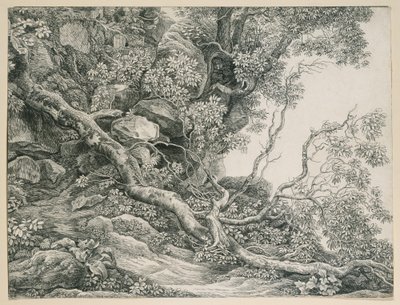 Træer på en klippeskråning af Johann Christian Reinhart