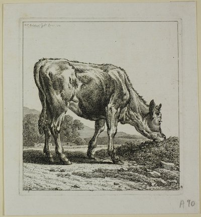 Kalvefodring, fra Die Zweite Thiernahme af Johann Christian Reinhart