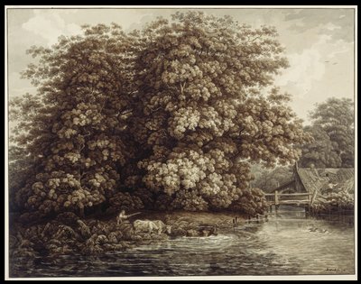 Møllen ved de store egetræer af Johann Christian Reinhart