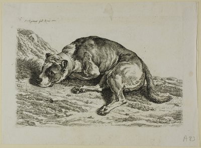 Dog Laying Down, fra fra The Second Succession of the Thief af Johann Christian Reinhart