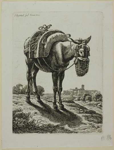 Feeding Mule - Front, fra The Second Succession of Thieves af Johann Christian Reinhart
