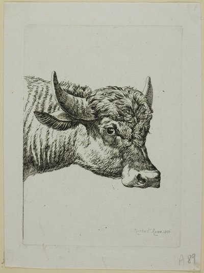 Head of a Buffalo, fra Die Zweite Thiernahme af Johann Christian Reinhart
