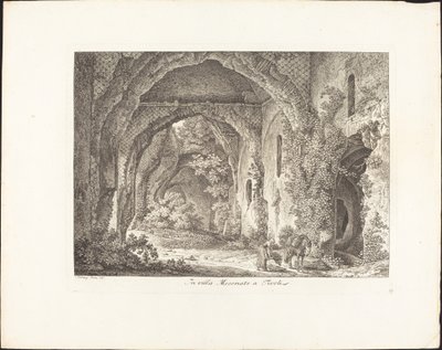 I Villa Mecenate af Johann Christian Reinhart