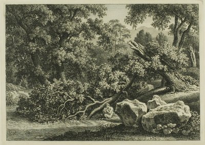 Landskab med panorering på fløjte af Johann Christian Reinhart