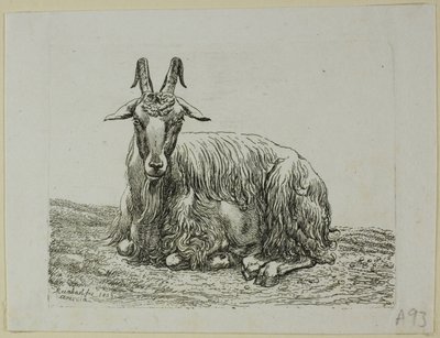 Liggende ged, fra Die Zweite Thiernahme af Johann Christian Reinhart