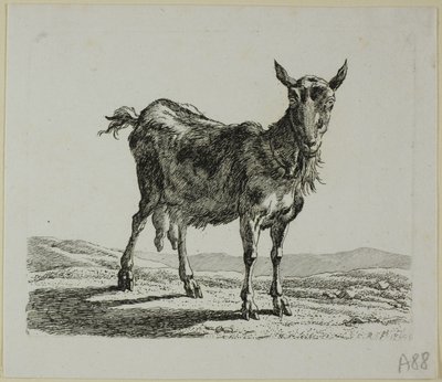 Stående ged, fra Die Zweite Thiernahme af Johann Christian Reinhart
