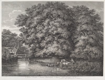 Møllen ved Great Oaks af Johann Christian Reinhart