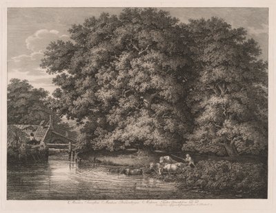 Møllen ved Great Oaks af Johann Christian Reinhart