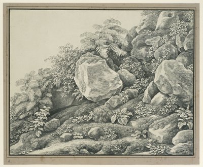 Forgrundsstudie: klipper, buske, bregner og bladplanter af Johann Christian Reinhart