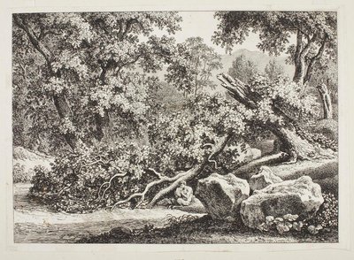 Skovscene med et knækket egetræ af Johann Christian Reinhart