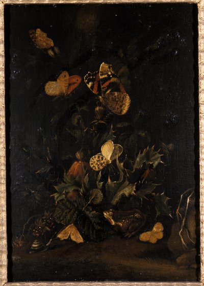 Blomster med sommerfugle og tudse (olie på egetræ) af Johann Christian Thomas Winck