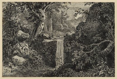 Vandfald i skoven af Johann Christoph Erhard