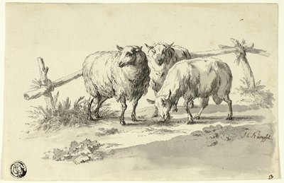 Får af Johann Christoph Kimpfel