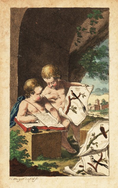 To unge ornitologer studerer fugleaftryk af Johann Conrad Kruger