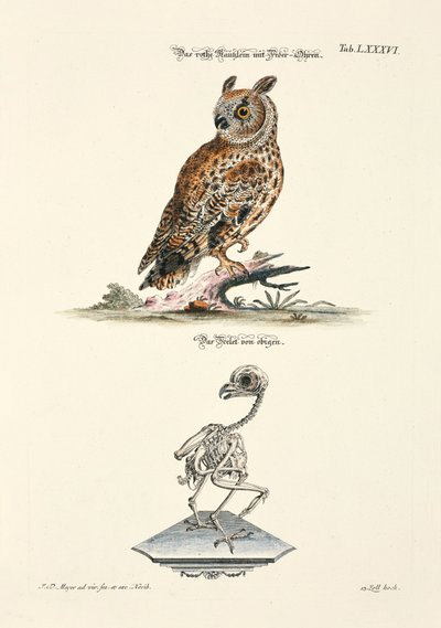  af Johann Daniel Meyer