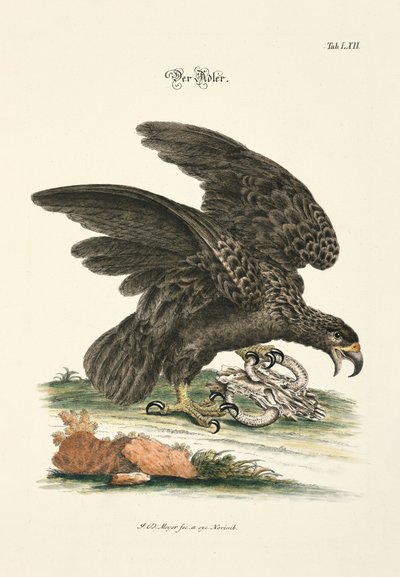  af Johann Daniel Meyer