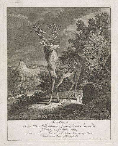 En storslået kronhjort i et landskab af Johann Elias Ridinger