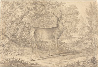 En pragtfuld ung kronhjort foran et Wattle-hegn af Johann Elias Ridinger