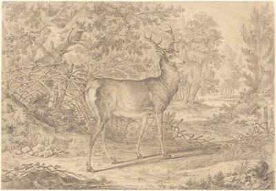  af Johann Elias Ridinger