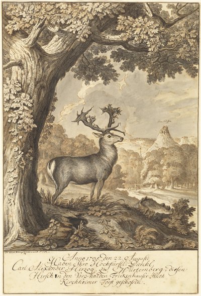 En kronhjort under en mægtig eg af Johann Elias Ridinger