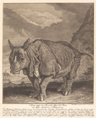 Næsehorn næsehorn af Johann Elias Ridinger