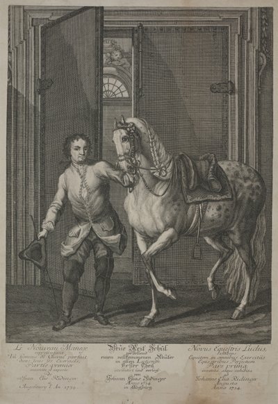 Ny Rytterskole af Johann Elias Ridinger