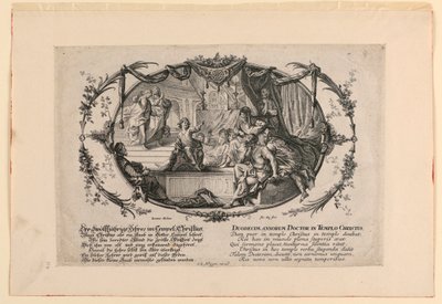 Tolv år som læge i Kristi tempel af Johann Evangelist Holzer