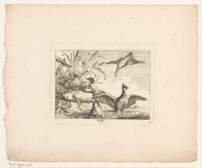Landskab med seks ænder Fugle i landskaber (serietitel) af Johann Georg Hertel (I) (possibly)